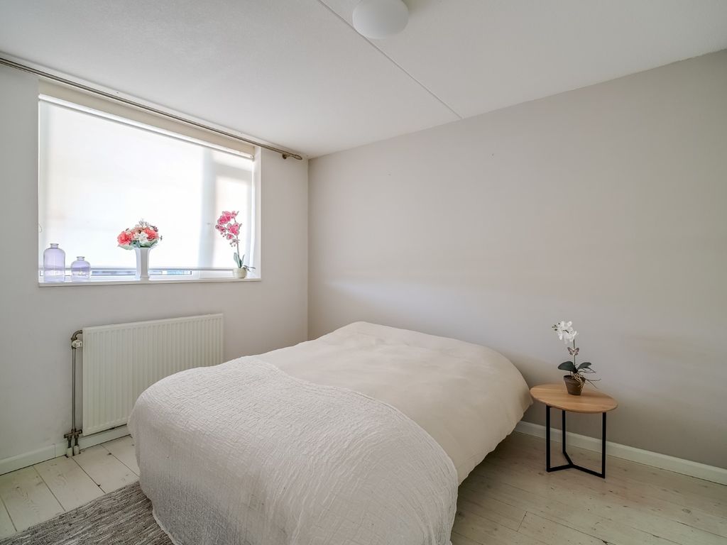 Elft 12, Avenhorn