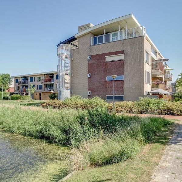 Elft 12, Avenhorn