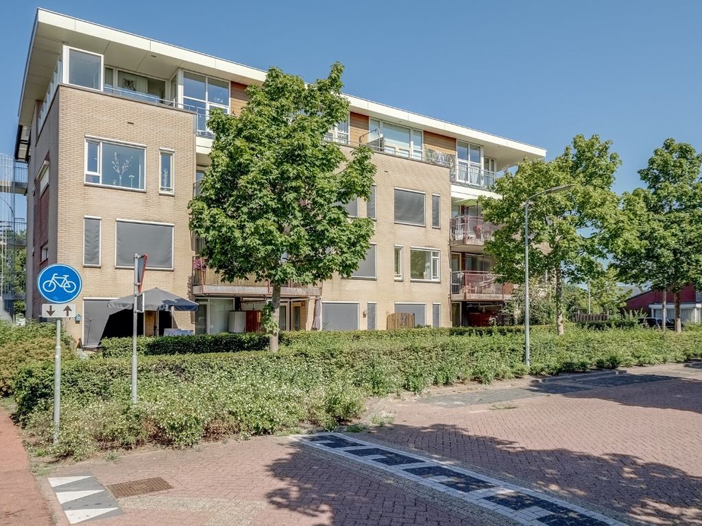 Elft 12, Avenhorn