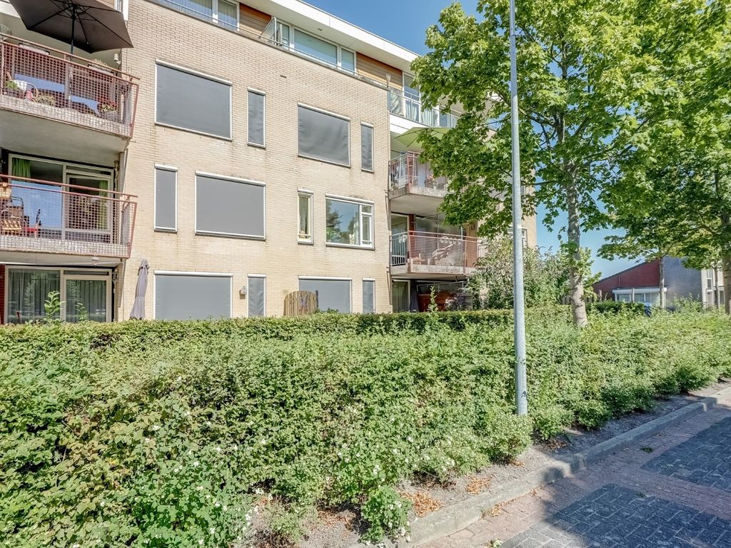 Elft 12, Avenhorn