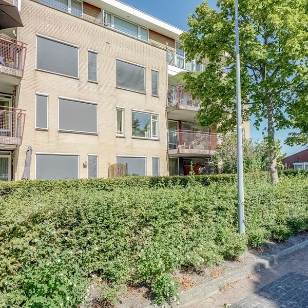 Elft 12, Avenhorn