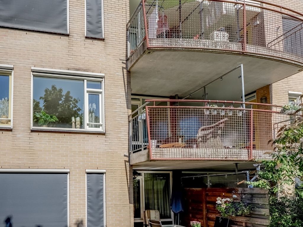 Elft 12, Avenhorn