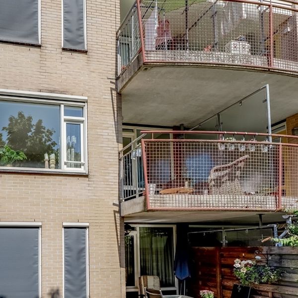 Elft 12, Avenhorn