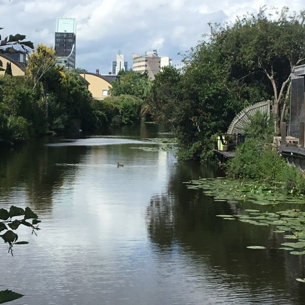 Chopinstraat 19, Capelle aan den IJssel