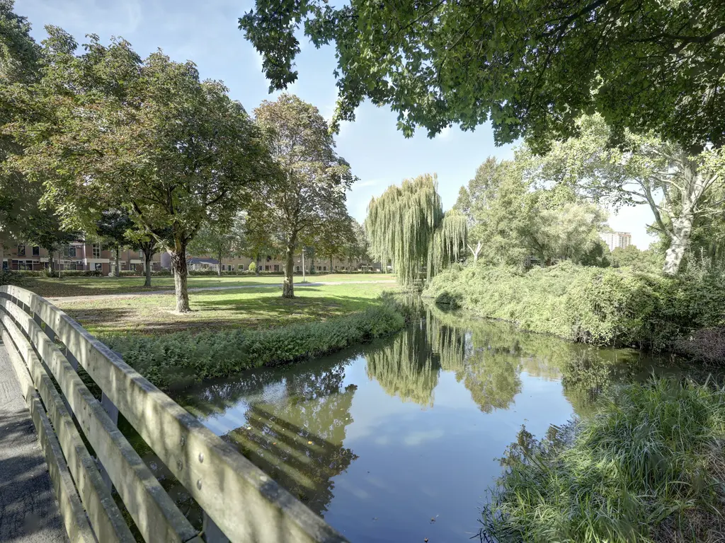 Tijmdonk 102, SPIJKENISSE