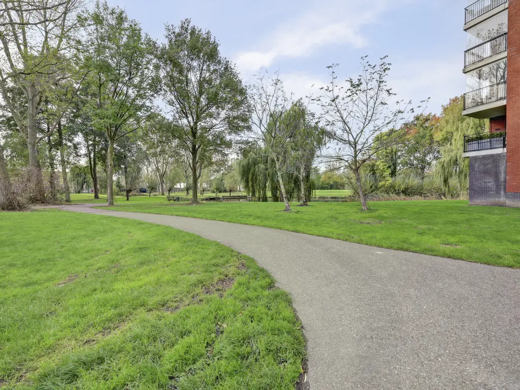 Thetfordstraat 146, SPIJKENISSE