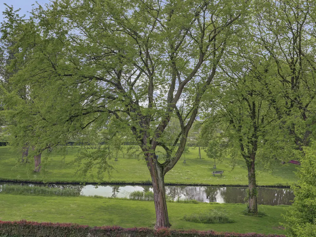 Staringplantsoen 27C, SPIJKENISSE