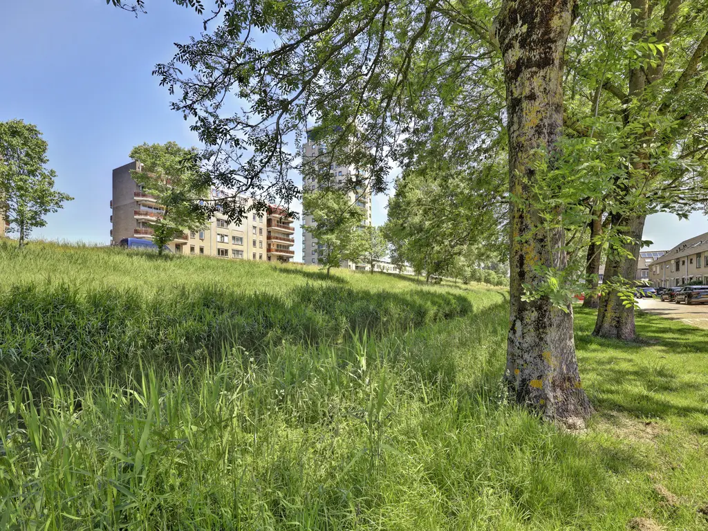 Gangesstraat 60, SPIJKENISSE