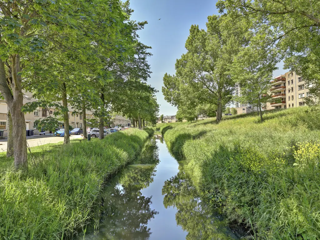 Gangesstraat 60, SPIJKENISSE