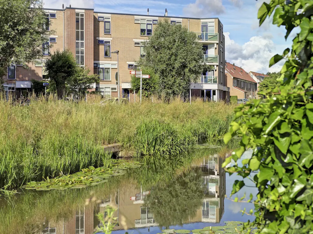 Majoraandonk 50, SPIJKENISSE