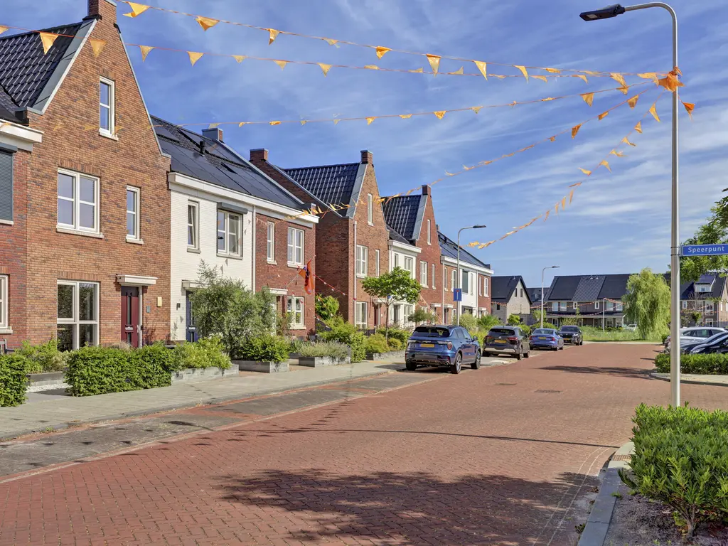 Fibula 33, ZUIDLAND