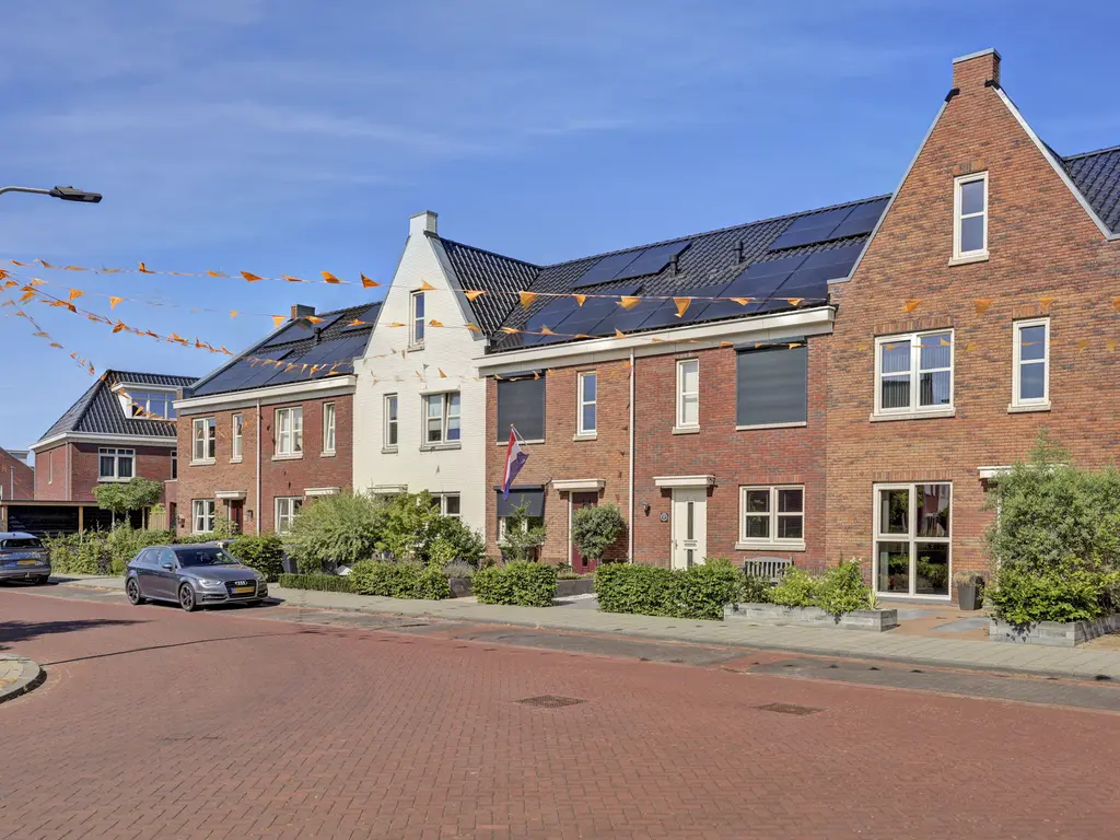 Fibula 33, ZUIDLAND