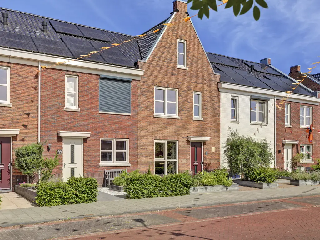Fibula 33, ZUIDLAND