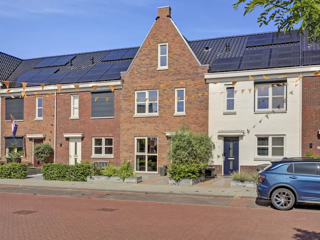 Fibula 33, ZUIDLAND