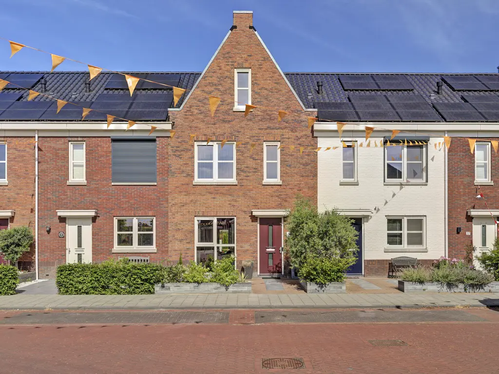Fibula 33, ZUIDLAND