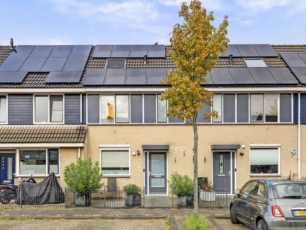 Theodora Haverstraat 22, SPIJKENISSE
