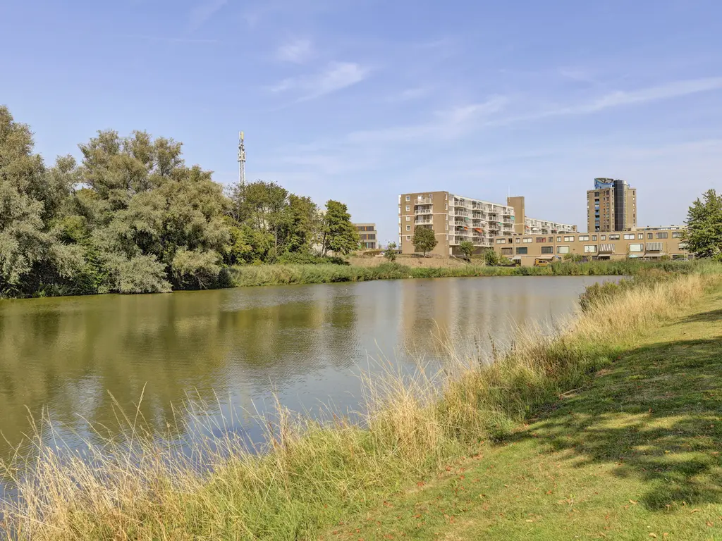Donaulaan 98, SPIJKENISSE