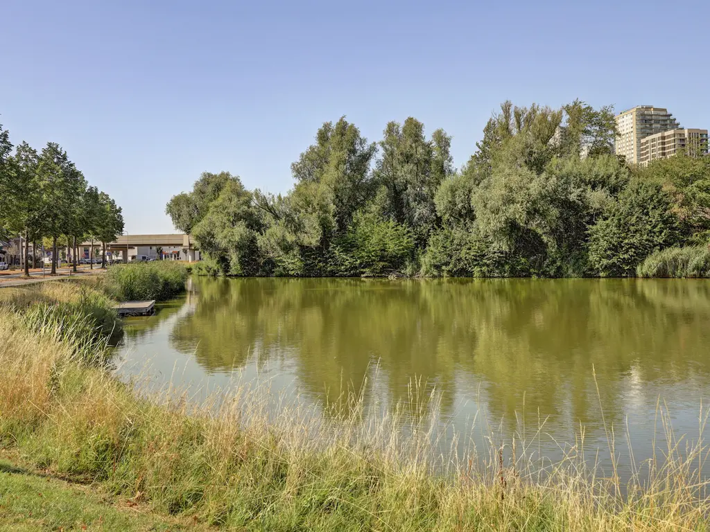 Donaulaan 98, SPIJKENISSE