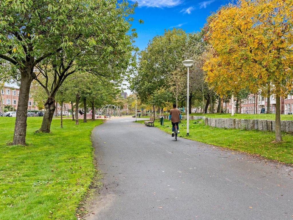 Pasteurstraat 42, Den Haag