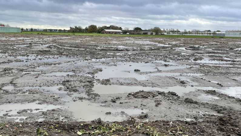 Glastuinbouwgrond aangekocht in Rijnsburg