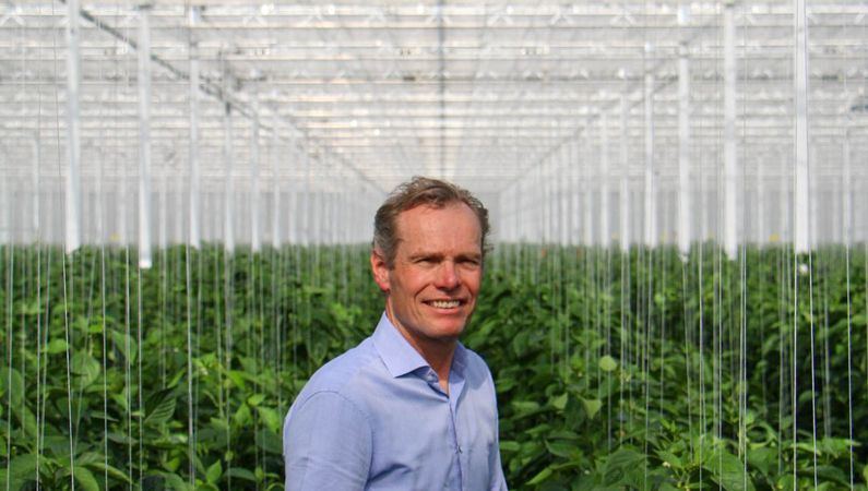 Glastuinbouw maakt energiesysteem flexibeler