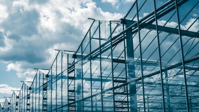 Prinsjesdag 2026: dit betekenen de kabinets plannen voor de glastuinbouw