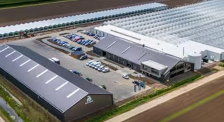 Osiris voorziet 257 ha glastuinbouw van warmte en CO2