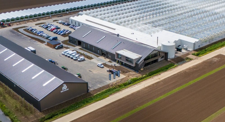 Expert Consultancy and Engineering for Indoor Growing Projects
