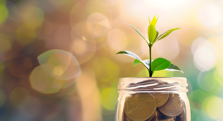 The Osiris Project supplies sustainable heat and CO₂ to the horticulture sector