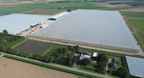 Sale of shares ensures the continuity of the orchid nursery