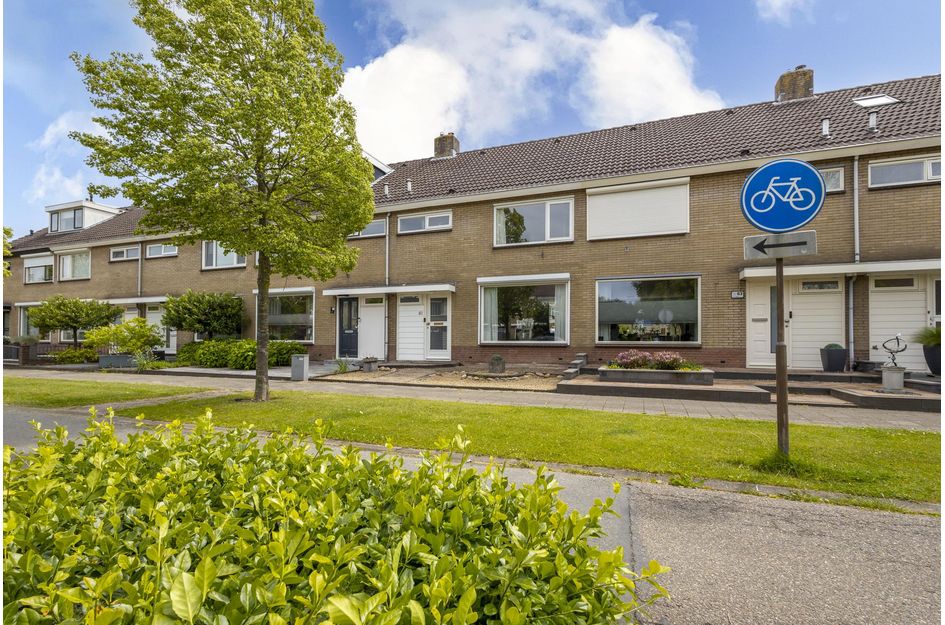 Wieling 61