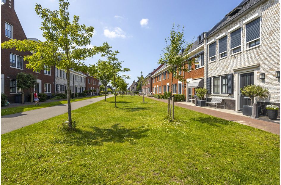 Brederode 10