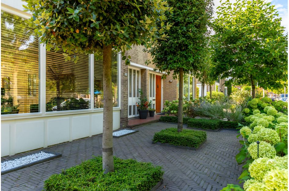 Rembrandtlaan 225