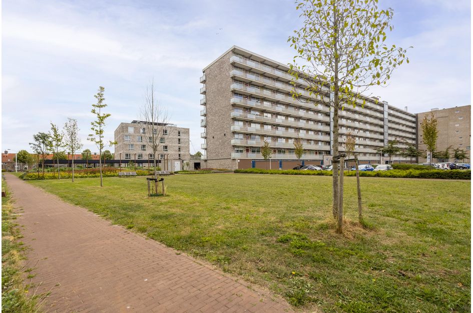 Reviusstraat 10