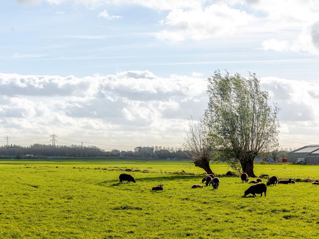 Prinses Ireneweg 12, Oud-Alblas