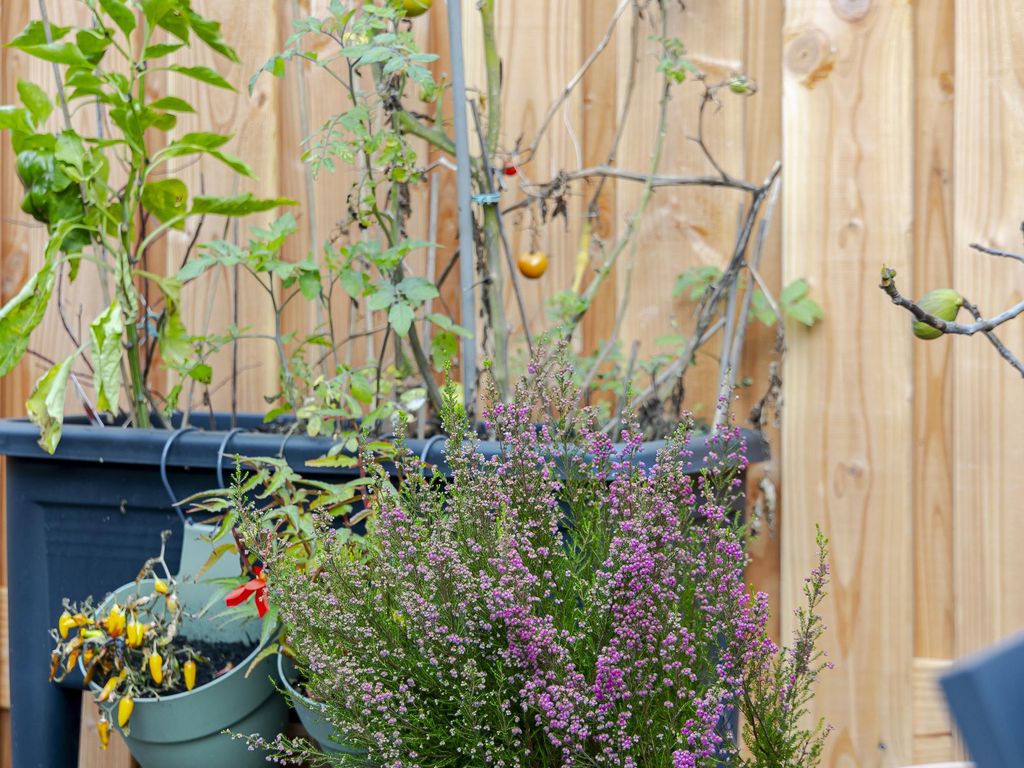 Troelstrastraat 15, HARDINXVELD-GIESSENDAM