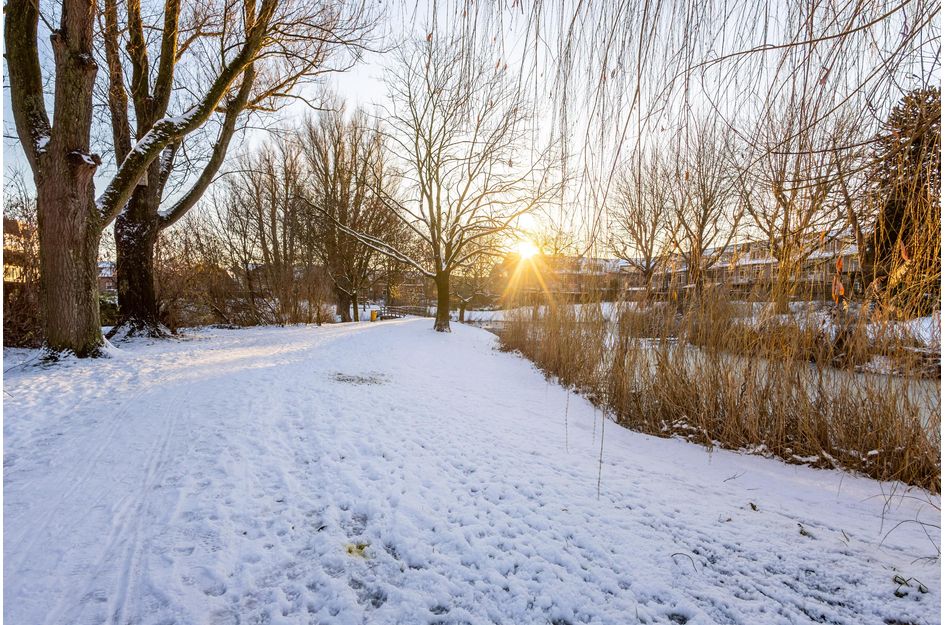 A.W. de Landgraafstraat 7