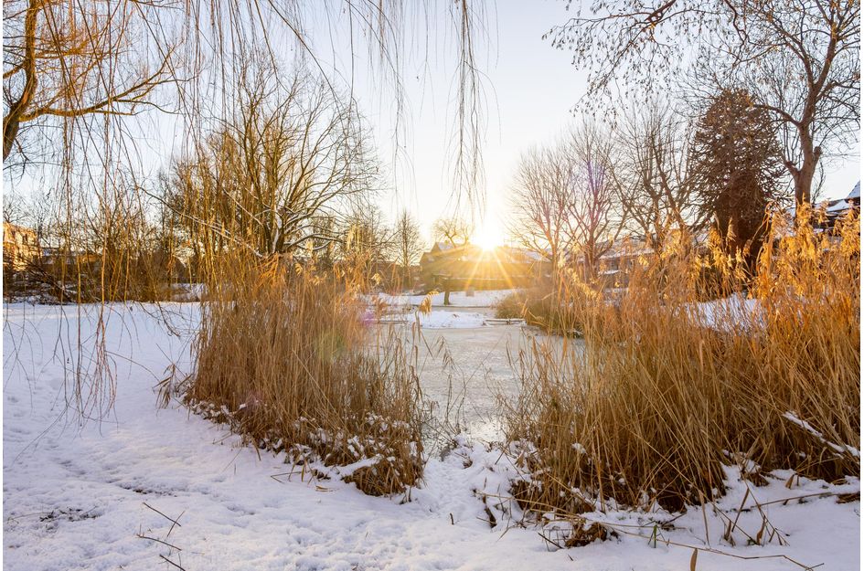 A.W. de Landgraafstraat 7