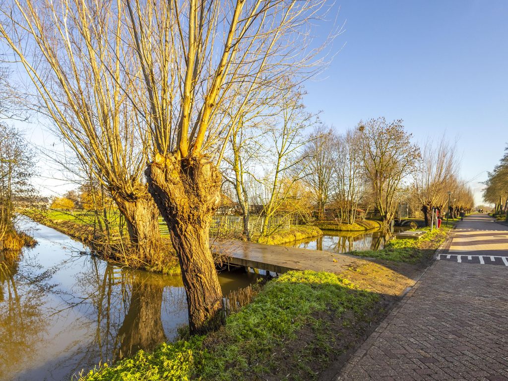 Koningin Wilhelminalaan 101, HARDINXVELD-GIESSENDAM