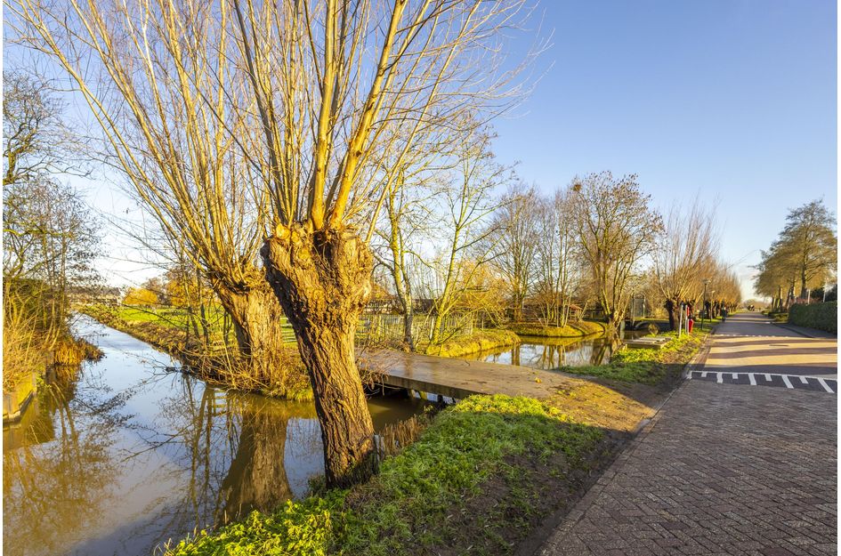 Koningin Wilhelminalaan 101