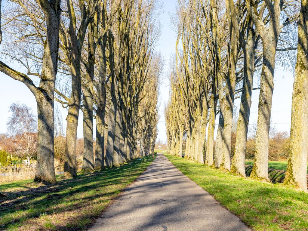 Aletta Jacobs-erf 472, DORDRECHT