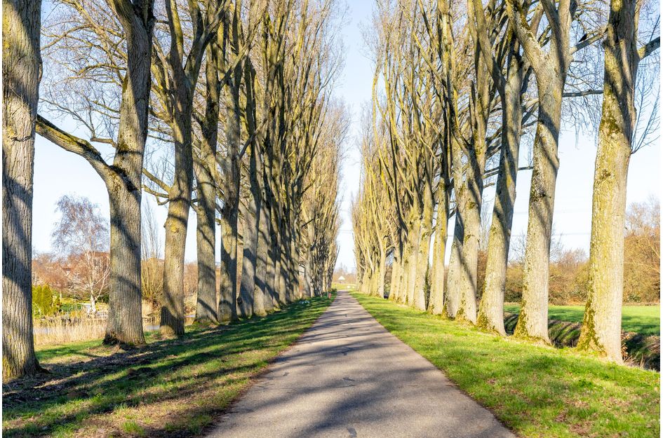 Aletta Jacobs-erf 472