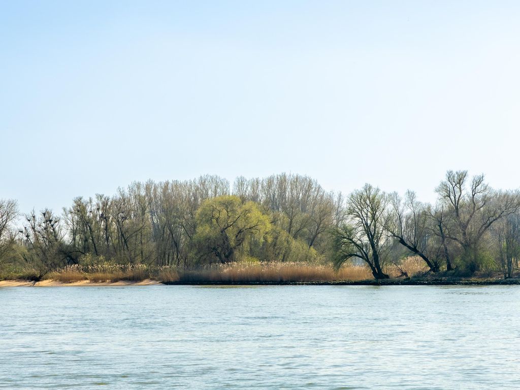 Rivierdijk 522, SLIEDRECHT