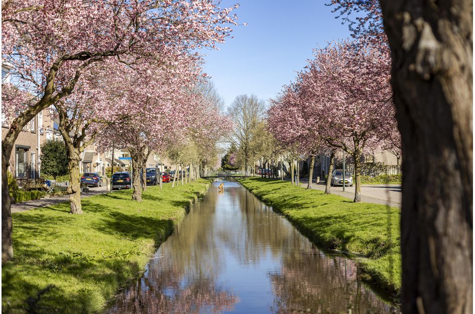 Van Leijdenstraat 26
