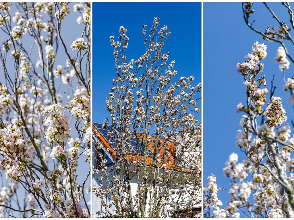 Dreesstraat 19, HARDINXVELD-GIESSENDAM