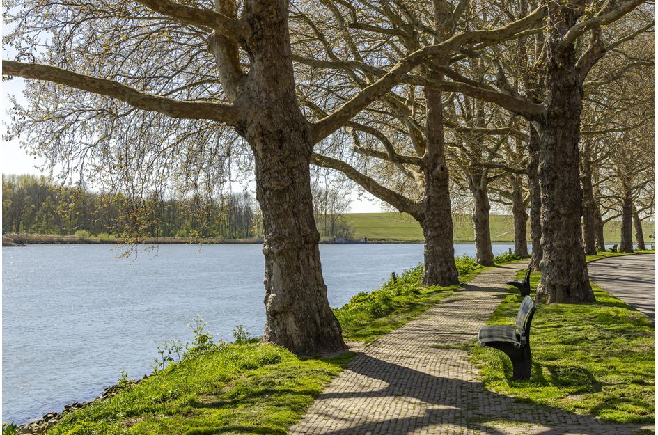 Joh. Kraaijeveldstraat 48