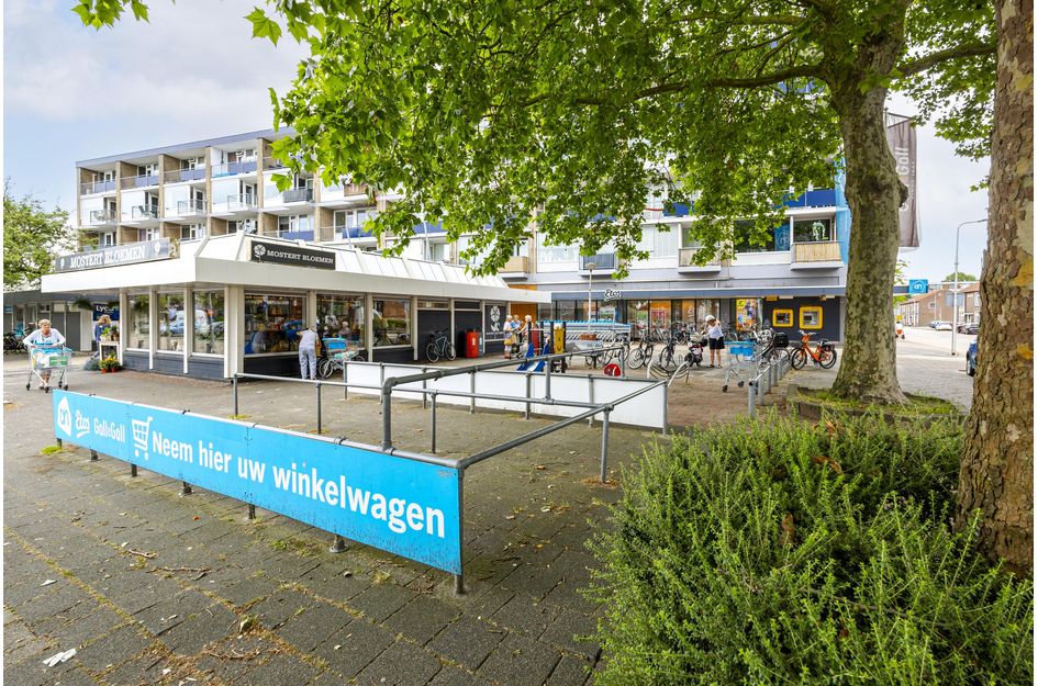 Rembrandtlaan 55a