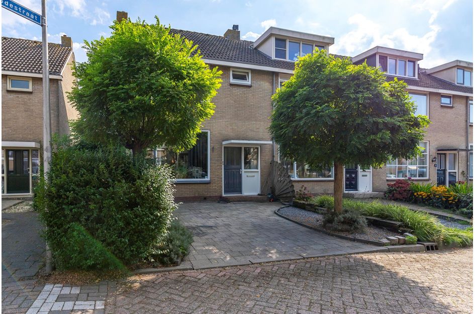 Van Arkelstraat 55