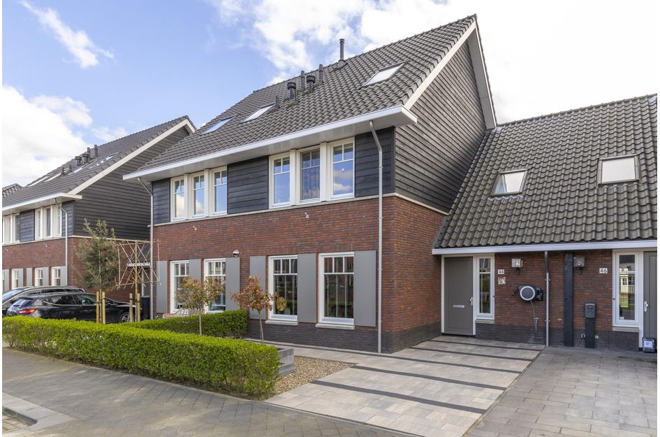 Goudreinet 44