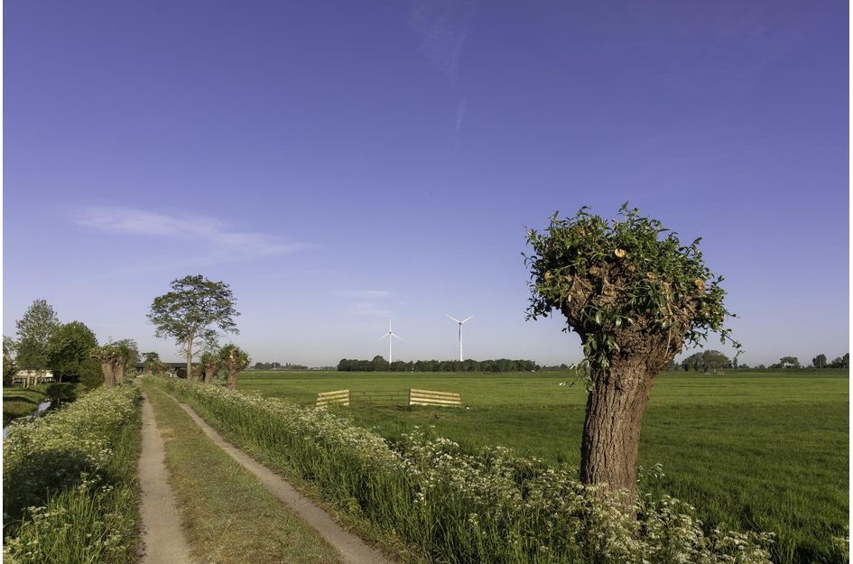 De Buurt 73